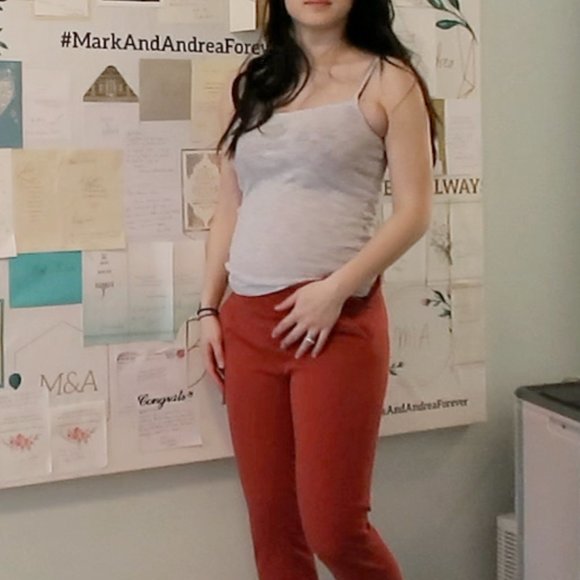 J. Crew Brick Orange Red Pants Size 4 - Picture 13 of 13